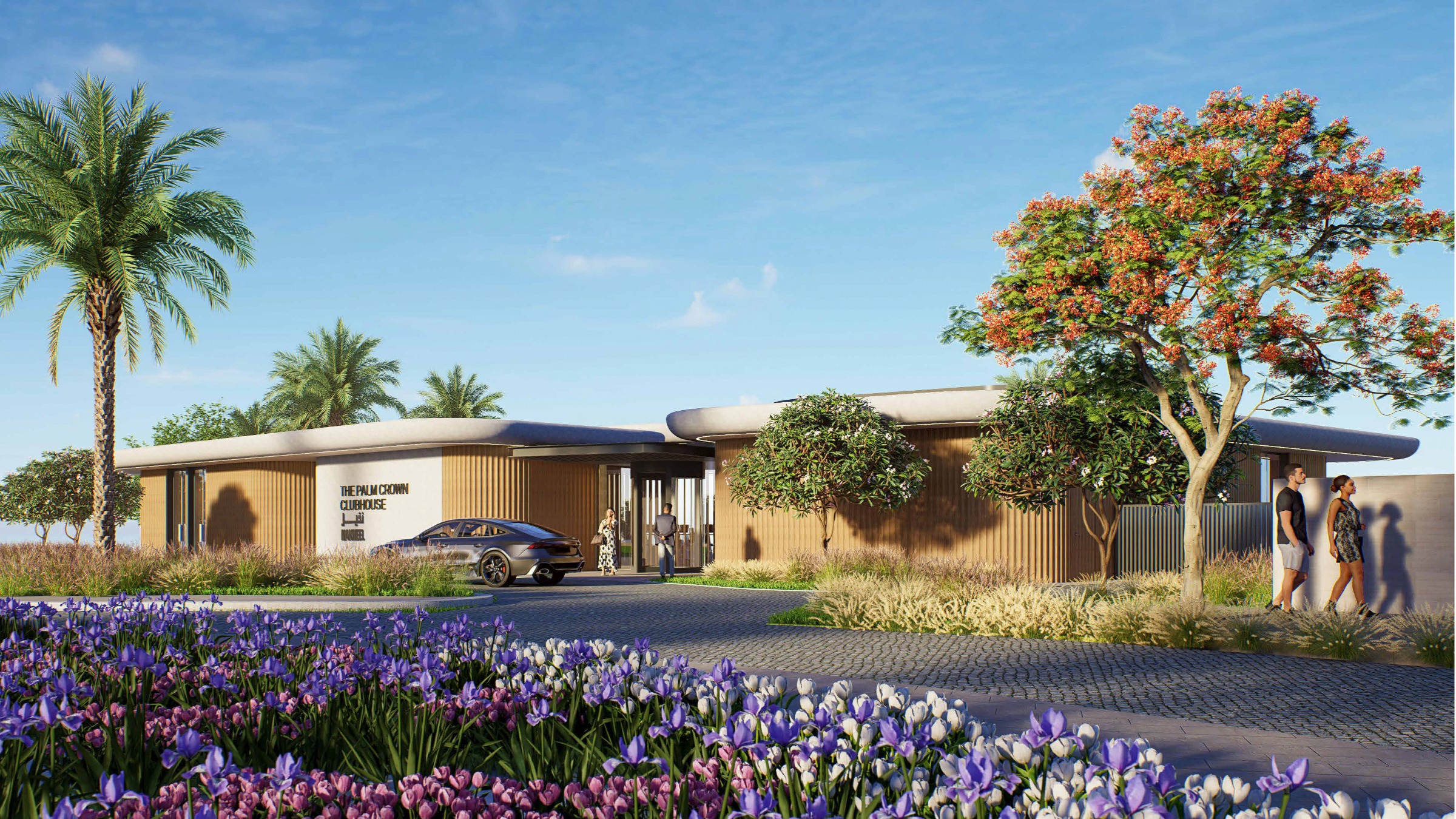 Club, Palm Crown — gallery image